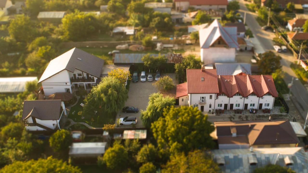 Pensiunea Puiu Afumati Bagian luar foto